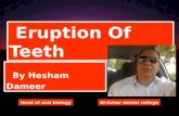 Eruption of teeth ( Hesham Dameer )