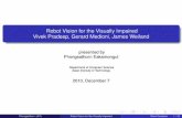 Robot Vision for the Visually Impaired