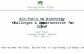 Bio-fuels to Bioenergy: Challenges and Opportunities for ICRAF