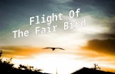 Flight Of The Fair Bird
