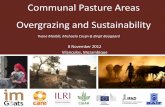 Communal pasture areas: Overgrazing and sustainability
