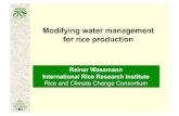 Wassmann - Modifying water management for rice production