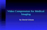 Example application : Dave Gibson's medical image video ...