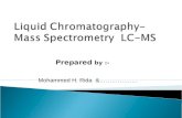 Chromatography lc ms