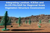 Integrating Landsat, ICESat and ALOS PALSAR for Regional Scale Vegetation Structure Assessment