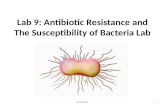 Lab 9   antibiotic resistance and the susceptibility of bacteria lab fall 2014