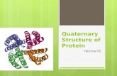 Quaternary structure of protein