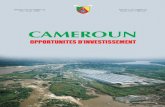 Cameroun , opportunites d’investissement