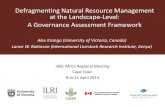 Defragmenting natural resource management at the landscape-level: A governance assessment framework