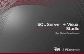 Microsoft SQL Server - SQL Server + Visual Studio Presentation