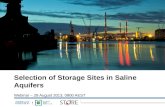 Webinar: Selection of storage sites in saline aquifers