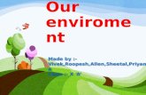 Our enviroment