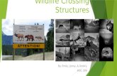 Wildlife crossing structures
