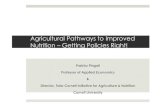 Prabhu Pingali, Cornell University "Agricultural Pathways to Improved Nutrition:  Getting Policies Right"