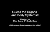 Guess the organs game