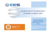 An Ideal Mix of Technologies to Enable a Smart Grid: EES 25 July 2013