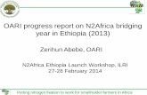 OARI progress report on N2Africa bridging year in Ethiopia (2013)