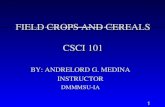 Field Crops and Cereals