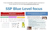 SSP Blue Level Whiteboard Resources - inc split digraphs