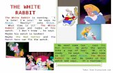 Story telling-the white rabbit