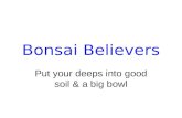 Bonsai believers