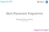 Work Placement Programme