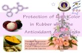 Protection of dark color in rubber with the antioxidant compounds