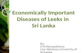 Economically Important Diseases of Leeks in Sri Lanka