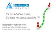 ICEBERG Innovation - Summary of Slides for the 2014 Small Company - Big Business Workshop