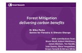 Forest Mitigation delivering carbon benefits | Mike Perks