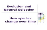 Evolution+and+natural+selection pvms[1]