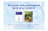 Dynamic risk assessment HCR-20 & SAPROF. IAFMHS 2012. M. de Vries Robbé