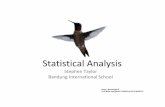 01 statistical-analysis-