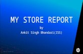 Hp ISS report 2010 Ankit Singh Bhandari