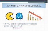 Brand cannibalization