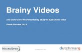 Neuromarketing b2b online video survey sneak preview