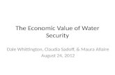 Plenary economic value of water security by Dale Whittington, Claudia Sadoff and Maura Allaire