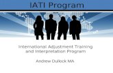 IATI: International Adjustment Training and Interpretation Program