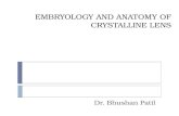 Anatomy and embryology of crystalline lens DrBP