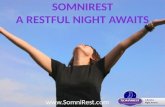 SomniRest - The Truth Revealed, Before Buying Make Sure You Read This