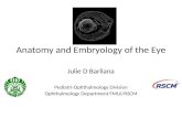 Anatomy and embryology of the eye 2011