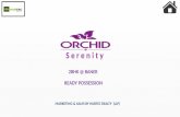 Orchid Serenity