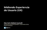 III Workshop 2012 : Midiendo Experiencia de Usuario (UX)