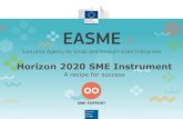 SME Instrument: a recipe for success