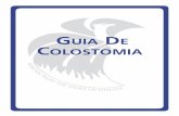 Guia: Colostomia