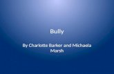 Bully Presentation