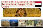 Food and Beverage Wonders in Egypt 5500 years