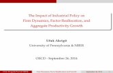 The Impact of Industrial Policy on Firm Dynamics, Factor Reallocation, and Aggregate Productivity Growth, Ufuk Akcigit