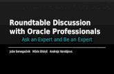 Wildcard13 - warmup slides for the "Roundtable discussion with Oracle Professionals"