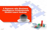 5 reasons why business intelligence professionals should learn hadoop